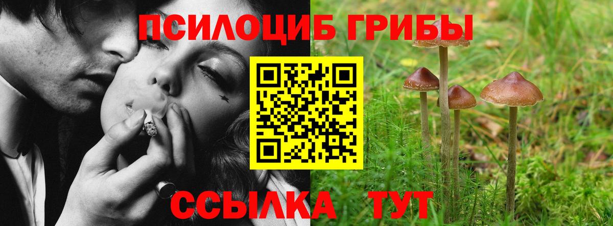 Галлюциногенные грибы Psilocybine cubensis  Вход с VPN  Краснотурьинск  Псилоцибиновые грибы мухоморы 